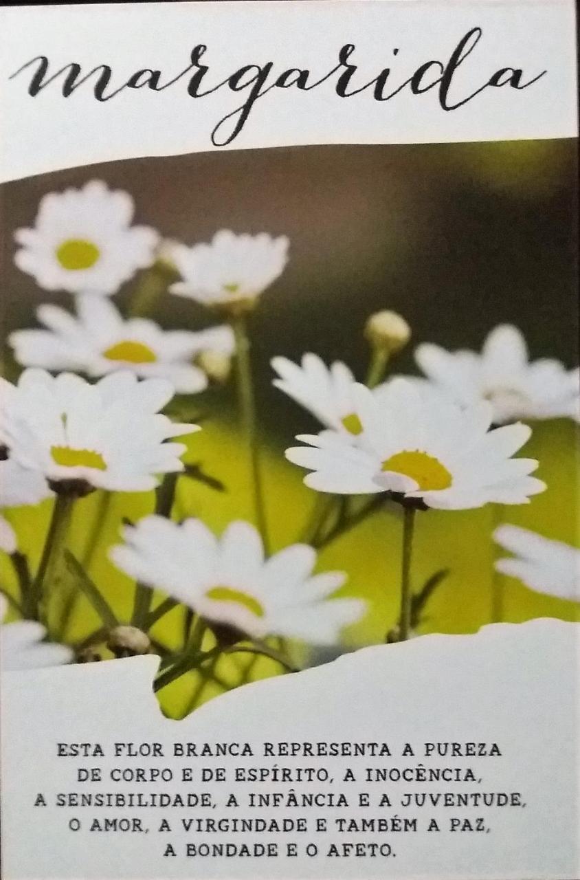 Recanto Das Flores Hotell Praia de Pipa Exteriör bild